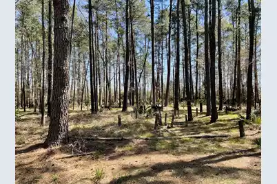 0 Backfield Road, Walterboro, SC 29488 - Photo 2