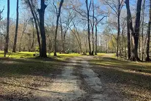 51 Mendel Ct, Round O, SC 29474 - Photo 1