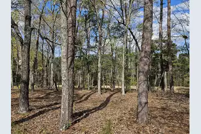 5 Fairway Drive, Manning, SC 29102 - Photo 10