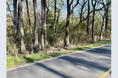 6956 Parkers Ferry Road, Adams Run, SC 29426 - Photo 2