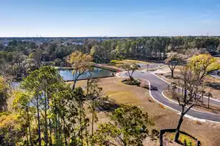 1683 Cultivation Ln, Mount Pleasant, SC 29466 - Photo 48