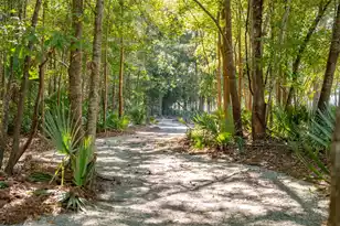 1683 Cultivation Ln, Mount Pleasant, SC 29466 - Photo 36