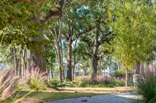 1683 Cultivation Ln, Mount Pleasant, SC 29466 - Photo 38