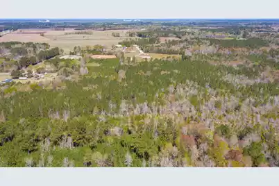 0 Two Churches Road, Harleyville, SC 29448 - Photo 10