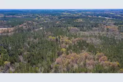 0 Two Churches Road, Harleyville, SC 29448 - Photo 16