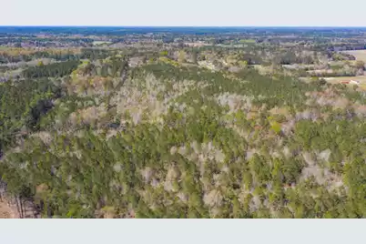 0 Two Churches Road, Harleyville, SC 29448 - Photo 14