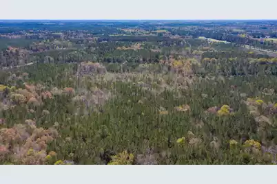 0 Two Churches Road, Harleyville, SC 29448 - Photo 18