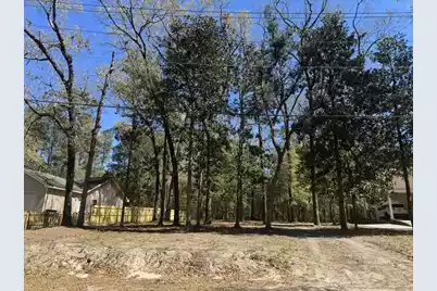 0 Dowling Avenue, Walterboro, SC 29488 - Photo 2