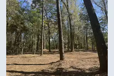 0 Klein Street, Walterboro, SC 29488 - Photo 10