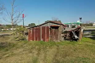 6156 Badham Dr, Reevesville, SC 29471 - Photo 18