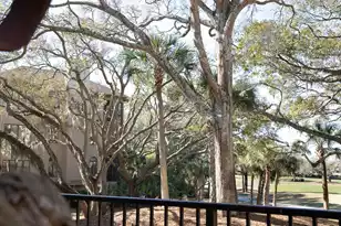 3005 Ocean Winds Dr, Seabrook Island, SC 29455 - Photo 34