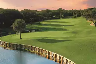 157 High Hammock Villas, Seabrook Island, SC 29455 - Photo 82