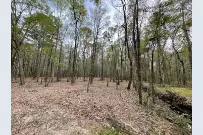 113 Gen Estates Lane, Summerville, SC 29486 - Photo 8