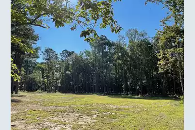 113 Gen Estates Lane, Summerville, SC 29486 - Photo 4