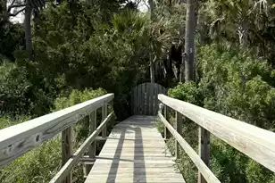 4113 Buccaneer Rd, Isle Of Palms, SC 29451 - Photo 2