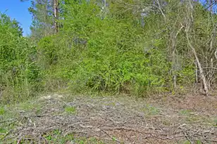 0 Ridgelake Cir Lot 12, Saint Matthews, SC 29135 - Photo 1