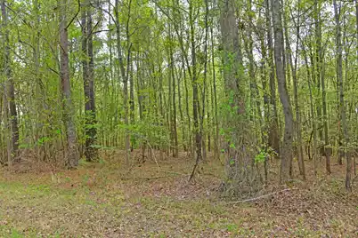 0 Ridgelake(Lot 35) Circle, Saint Matthews, SC 29135 - Photo 2