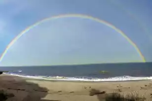 1 Battery Park Rd, Edisto Island, SC 29438 - Photo 56