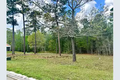 147 Twisted Oak Trail, Elloree, SC 29047 - Photo 4