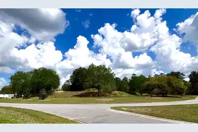 147 Twisted Oak Trail, Elloree, SC 29047 - Photo 14