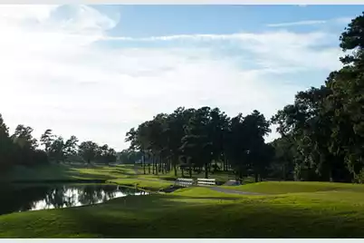 147 Twisted Oak Trail, Elloree, SC 29047 - Photo 24