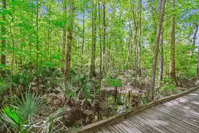 7095 Parkers Ferry Road, Adams Run, SC 29426 - Photo 16