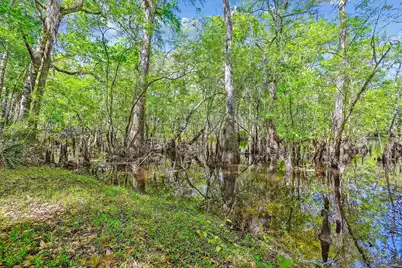 7095 Parkers Ferry Road, Adams Run, SC 29426 - Photo 14