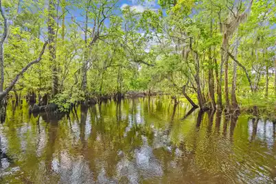 7095 Parkers Ferry Road, Adams Run, SC 29426 - Photo 12