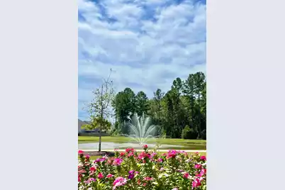 703 Hilchot Drive, Summerville, SC 29486 - Photo 50