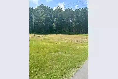 0000 Highway 17 N, McClellanville, SC 29458 - Photo 2