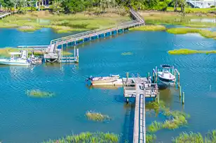 2254 Beckenham Dr, Mount Pleasant, SC 29466 - Photo 8