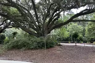 401 Oak Hammock Ct Lot 48, Johns Island, SC 29455 - Photo 12