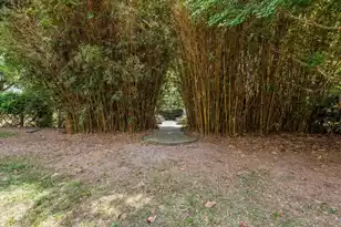 2970 Roseville Rd, Wadmalaw Island, SC 29487 - Photo 86