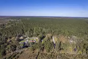 4401 Prices Bridge Ln, Walterboro, SC 29488 - Photo 60