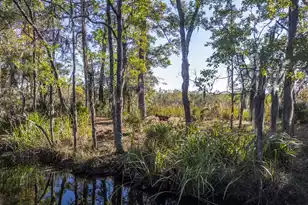 4401 Prices Bridge Ln, Walterboro, SC 29488 - Photo 40