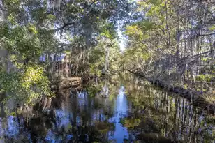 4401 Prices Bridge Ln, Walterboro, SC 29488 - Photo 38