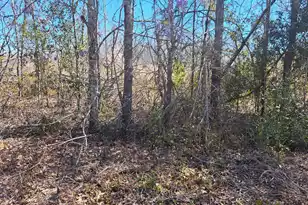 S-38-200 Laval Rd, Santee, SC 29142 - Photo 1