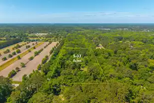 2234 River Rd, Johns Island, SC 29455 - Photo 6