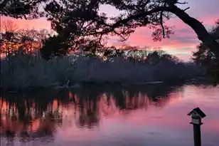 8487 Parkers Ferry Rd, Adams Run, SC 29426 - Photo 40