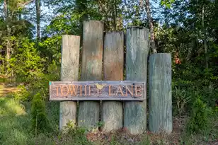 1044 Towhee Ln, McClellanville, SC 29458 - Photo 2