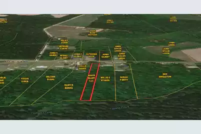 0 Maple Branch Road #Road, Reevesville, SC 29471 - Photo 1