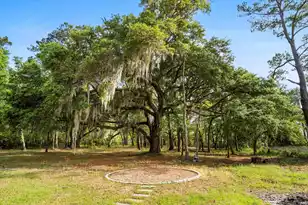 3399 Freeman Hill Rd, Johns Island, SC 29455 - Photo 44
