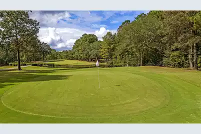 1001 Par Three Court, Manning, SC 29102 - Photo 24