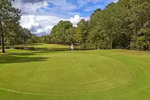1001 Par Three Ct, Manning, SC 29102 - Photo 24