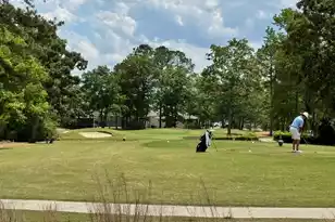 1931 Deercreek Dr, Manning, SC 29102 - Photo 18