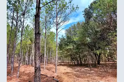 2400 River Road, Greeleyville, SC 29056 - Photo 12