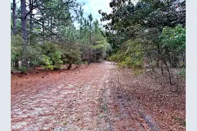 2400 River Road, Greeleyville, SC 29056 - Photo 6