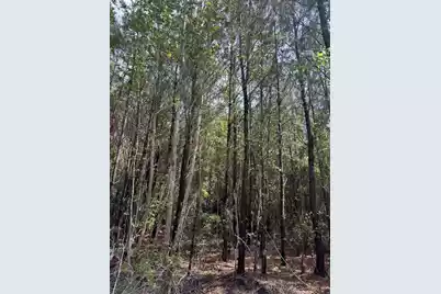 1-F Mt Carmel Road, Walterboro, SC 29488 - Photo 2