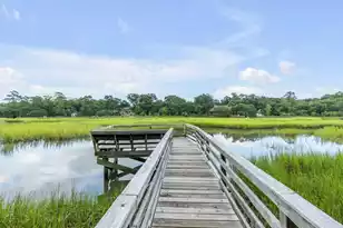 1142 Village Creek Ln, Mount Pleasant, SC 29464 - Photo 36