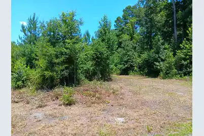 0 Primus Drive Drive, Saint George, SC 29477 - Photo 2